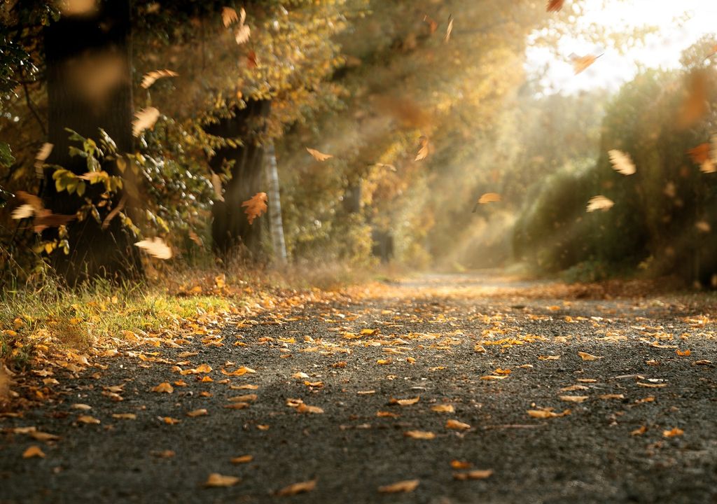 La Sequía en México con poca extensión