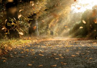 ¿Tendremos un invierno con intensa sequía como se está alarmando? Se vigilan al fenómeno de La Niña y otros factores 