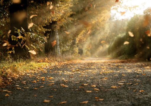 ¿Tendremos un invierno con intensa sequía como se está alarmando? Se vigilan al fenómeno de La Niña y otros factores