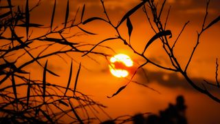 ¿Tendremos una ola de calor en julio de 2022?