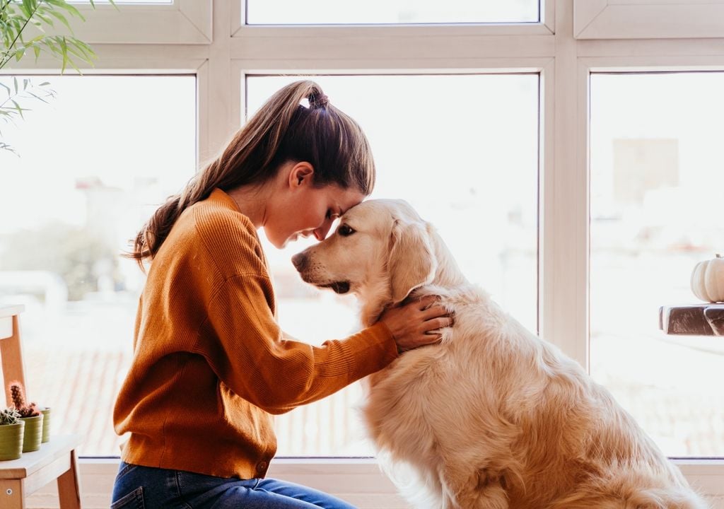 mulher abraçando um cachorro