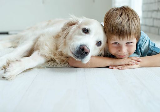 Tener un perro es bueno para la salud? Sí, y la ciencia explica por qué