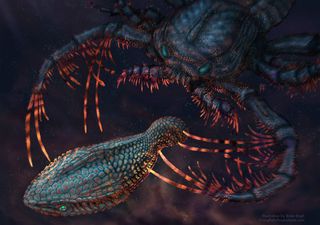 ¿Tenés sensibilidad dental? La culpa es de un pez prehistórico 