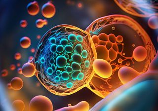 Una terapia revolucionaria permite a una niña vivir 18 años tras luchar contra el cáncer