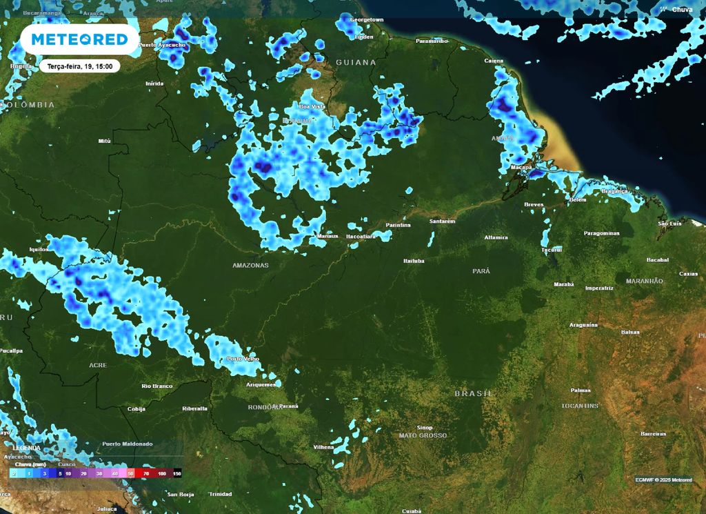 Precipitação prevista para a tarde de terça-feira (19) na Região Norte.