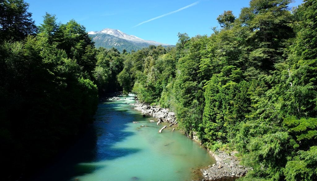 Parque Nacional Puyehue, sur de Chile. El Parque Nacional Puyehue es una zona de gran belleza natural.
