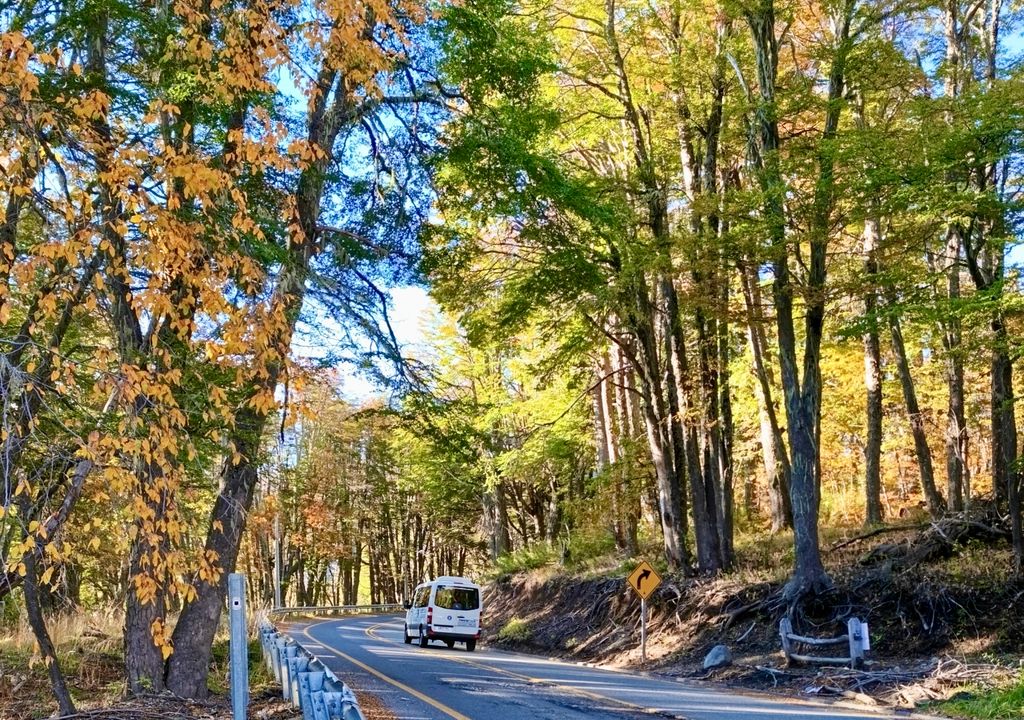 Otoño en sector Termas de Chillán. Otoño en sector Termas de Chillán.