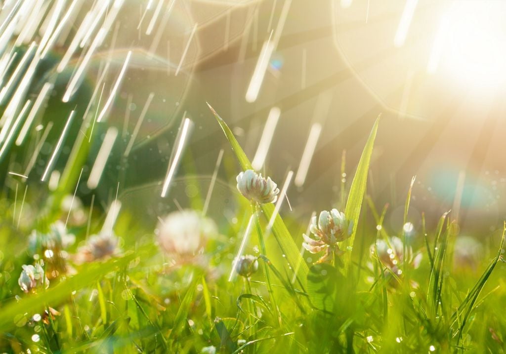 Lluvias, calor y polvo del Sahara en México