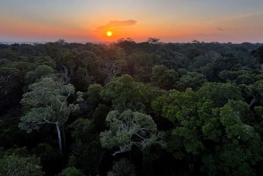 Na imagem, a reserva florestal Adolpho Ducke, no Amazonas... Leia mais no texto original: (https://www.poder360.com.br/poder-sustentavel/terra-preta-da-amazonia-aumenta-diametro-de-arvores/) © 2026 Todos os direitos são reservados ao Poder360, conforme a Lei nº 9.610/98. A publicação, redistribuição, transmissão e reescrita sem autorização prévia são proibidas. Reserva florestal Adolpho Ducke (imagem), no Amazonas, foi base dos experimentos com a terra preta da Amazônia. Crédito: Divulgação Poder360