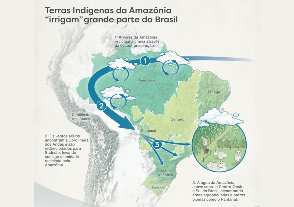 Amazônia Amazônia
