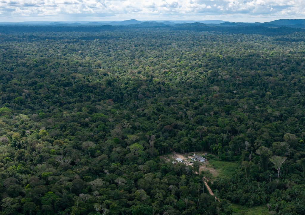 amazonas