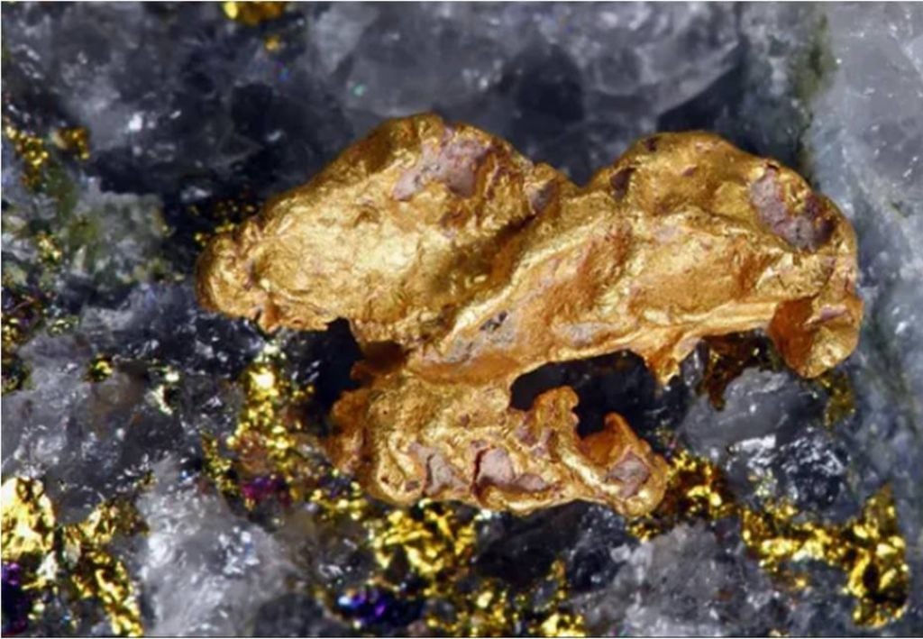 gold nugget in quartz