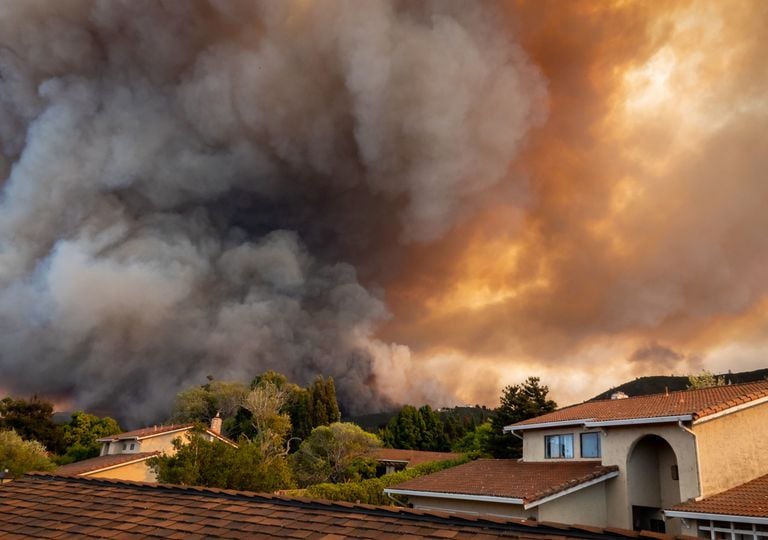 ¿Se puede construir en un terreno quemado? Esto dice la Ley de Montes