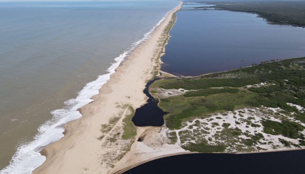 O Parque Nacional da Restinga de Jurubatiba tem a faixa de restinga mais bem preservada do Brasil. Crédito: Entre Parques BR.