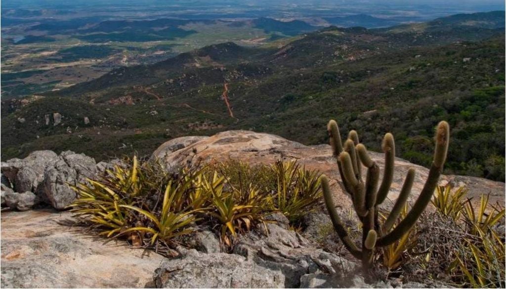 Pico do Jabre (em Maturéia), o pico de maior altitude da Paraíba, com mais de mil metros de altitude, dentro do Parque Nacional Serra do Teixeira. Crédito: Mano de Carvalho.