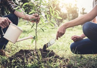 Testes para absorver o CO2 do ar começam em todo o Reino Unido