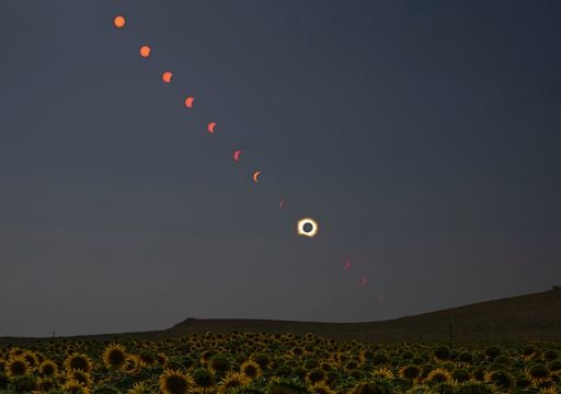 Mejores v&iacute;deos y testimonio del eclipse solar total: "grit&eacute; creo que para sentirme vivo, porque la visi&oacute;n era espectral"