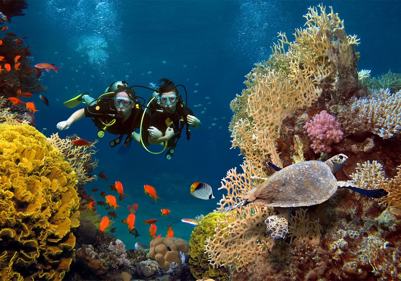 The 20 billion dollar industry that funds crucial marine conservation