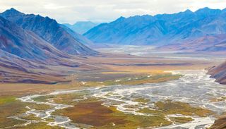 The 5 Most Surprising Natural Landscapes in the United States You Should Visit — From Deserts to Reefs