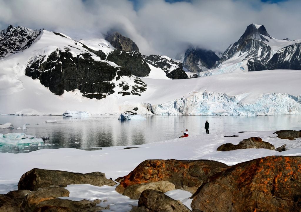 The Antarctic is turning green at an alarming rate