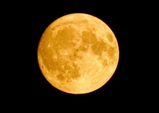 The Beaver Supermoon Returns Nov. 5: Don’t Miss the Year’s Brightest and Closest Full Moon