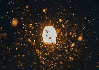 Weather radar reveals night-flying insects in the UK are plummeting