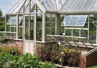 New paint for greenhouses could extend growing seasons in the UK