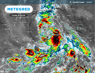 The First Tropical Cyclone of the 2024 Atlantic Hurricane Season is Likely to Form Soon Over the Gulf of Mexico