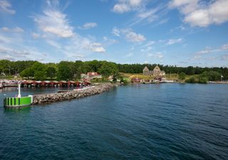 The forgotten oak island of Sweden where strangely shaped trees were planted for shipbuilding