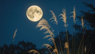 La Luna de la Cosecha tendr&aacute; lugar este s&aacute;bado: &iquest;qu&eacute; la hace diferente de otras lunas llenas?