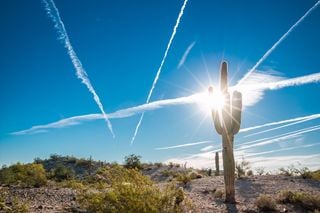 The heat from a searing record-breaking summer in Phoenix ended up stretching well into fall