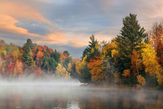 The leaves have just started to change in northern states, when will the peak of fall foliage be across the country? 