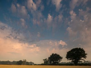 The seasonal forecast for July