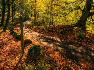 The seasonal forecast for September