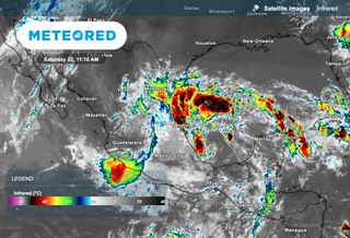 The Second Tropical Cyclone of the season could form this weekend over the Gulf of Mexico