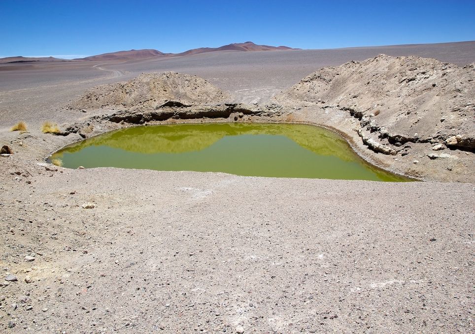 Puna do Atacama in Argentina features unique ecosystems on Earth. Puna do Atacama in Argentina features unique ecosystems on Earth.