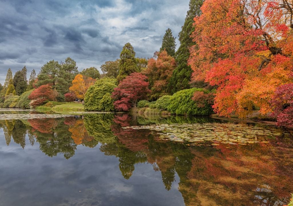 Autumn Colours