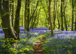 The UK spring weather forecast 2022