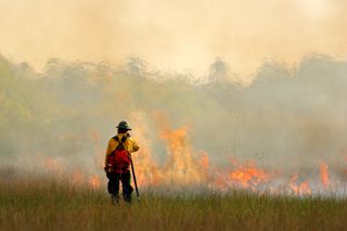 The Western US is No Longer the Main Region of Fire Concern in the Country, New Study Shows Rise of Eastern Fires