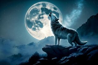 The Wolf Moon Is Going Out in Style — One Last Supermoon to Start the Year