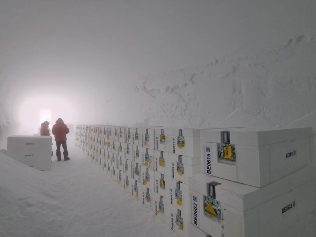 The oldest ice core The oldest ice core