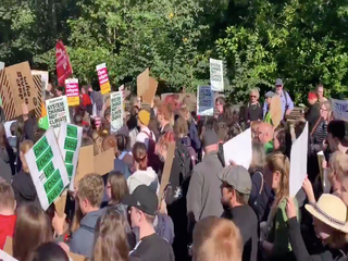 Thousands across the UK join climate strike