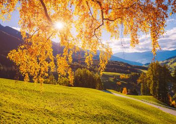 25 Grad: Der goldene Oktober kehrt zurück! 25 Grad: Der goldene Oktober kehrt zurück!