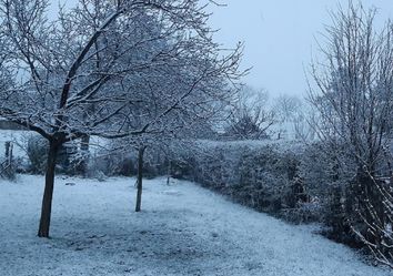 À 4 jours du printemps, la neige s'est (enfin) invitée en plaine À 4 jours du printemps, la neige s'est (enfin) invitée en plaine