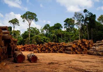 A evolução da desflorestação da Amazónia desde a década de 1990 A evolução da desflorestação da Amazónia desde a década de 1990