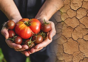 Alerta climática: el 'boicot' del jet stream a la alimentación mundial Alerta climática: el 'boicot' del jet stream a la alimentación mundial