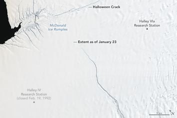 Antártida: Importante rompimiento de hielo está en camino Antártida: Importante rompimiento de hielo está en camino