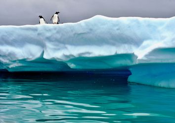 Cambio climático está dejando más verde al continente blanco Cambio climático está dejando más verde al continente blanco