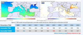 Boletín temperatura del mar Mediterráneo Número 5 Invierno 2020, CEAM