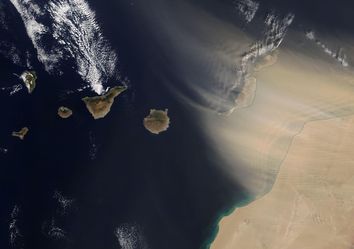 Calima en Canarias: última hora, qué es y sus efectos en la salud Calima en Canarias: última hora, qué es y sus efectos en la salud